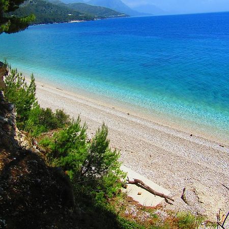 Victoria Cottage Camping Dole Blato  Luaran gambar